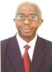 Olusoga Sofola